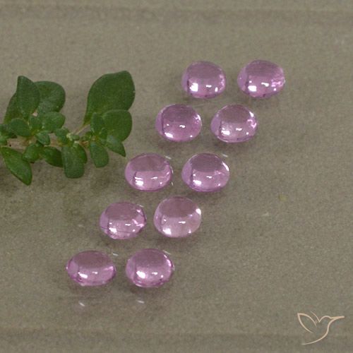 1.53ctw Naturel Pourpre-rose Saphir, Tour, Transparent