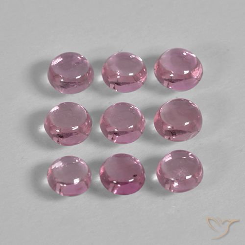1.56ctw Naturel Medium Deep Pink Saphir, Tour, Transparent