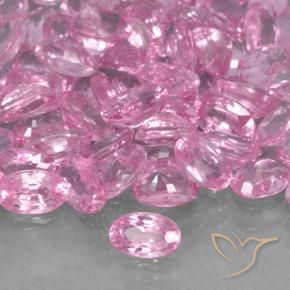 Saphir Rose vif naturelle ovale, 0.31 ct, VVS-VS