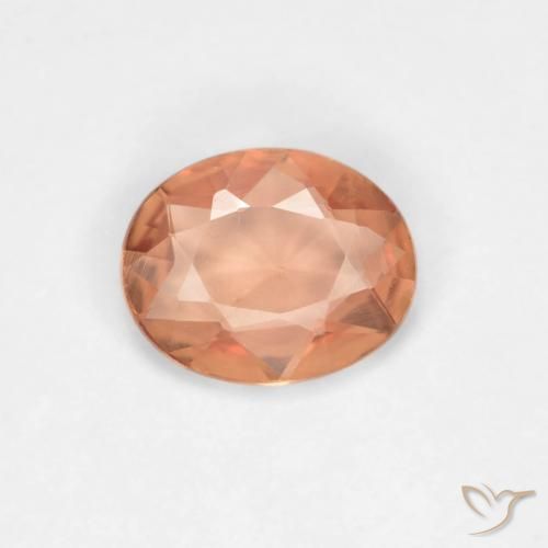 0.50ct Naturel Pêche Orange Saphir, ovale, VVS-VS