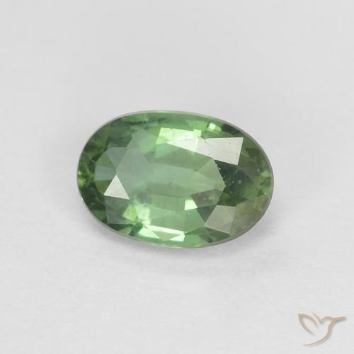 0.53ct Naturel Forêt verte Saphir, ovale, VVS-VS