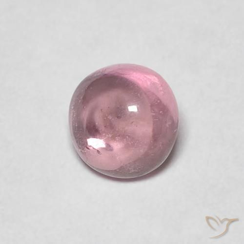 Saphir Bois de rose naturelle Tour, 0.49 ct, Transparent