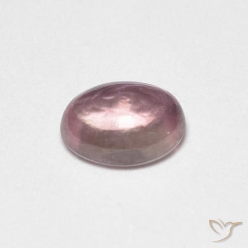 Saphir Violet clair naturelle ovale, 0.49 ct, Transparent