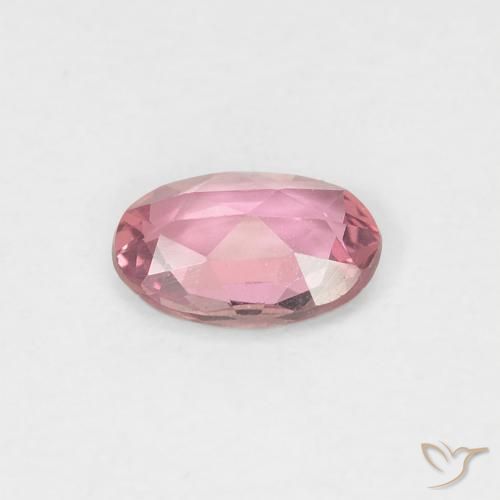 Saphir Rose bubblegum naturelle ovale, 0.43 ct, VVS