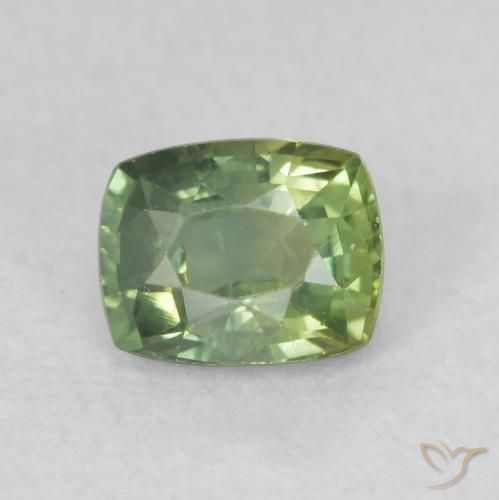 0.58ct Naturel Vert foncé Saphir, Coussin, VS-SI