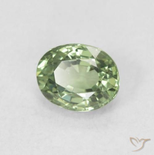 Saphir Medium Light Green naturelle ovale, 0.59 ct, VVS-VS
