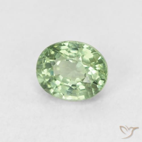 Saphir Vert forêt léger naturelle ovale, 0.61 ct, VVS-VS