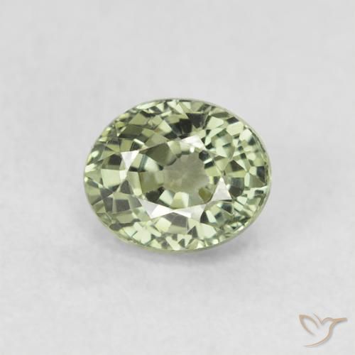 0.68ct Naturel Vert forêt léger Saphir, ovale, VVS