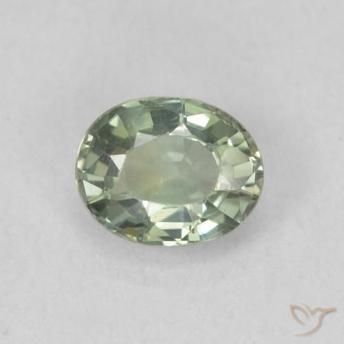 0.56ct Naturel Forêt verte Saphir, ovale, VVS-VS