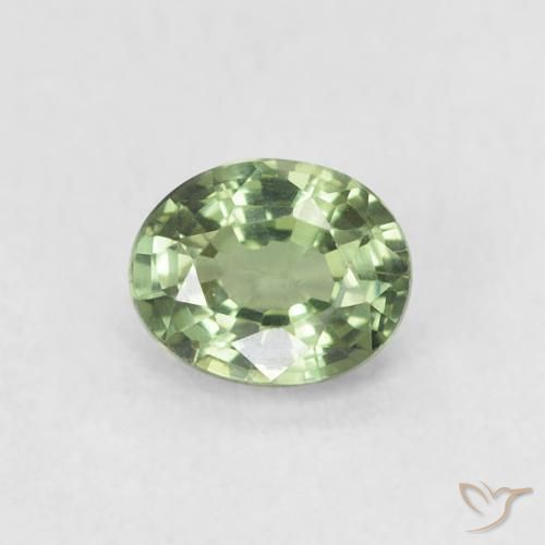 0.55ct Naturel Vert sauge Saphir, ovale, VVS-VS