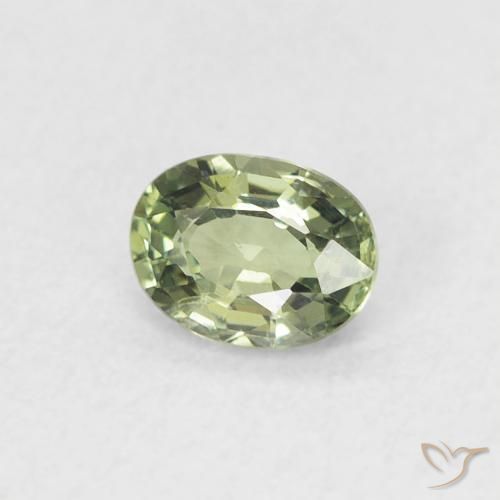 Saphir Vert grisâtre naturelle ovale, 0.42 ct, VVS