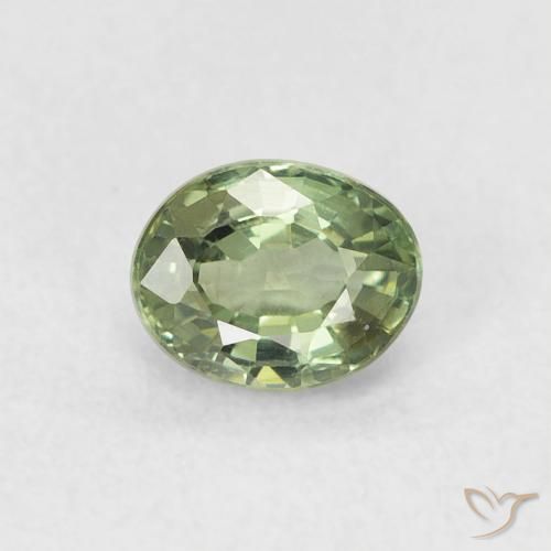 0.62ct Naturel Vert grisâtre Saphir, ovale, VVS