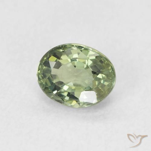 Saphir Vert grisâtre naturelle ovale, 0.62 ct, VVS