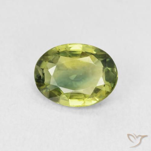 1.51ct Naturel Vert forêt léger Saphir, ovale, VVS-VS