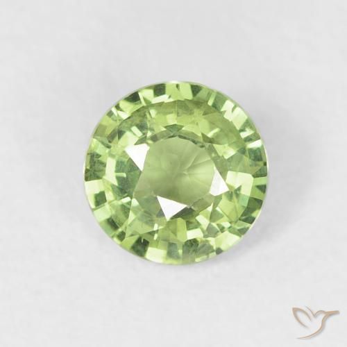 Saphir Vert vif et léger naturelle Tour, 0.59 ct, VS