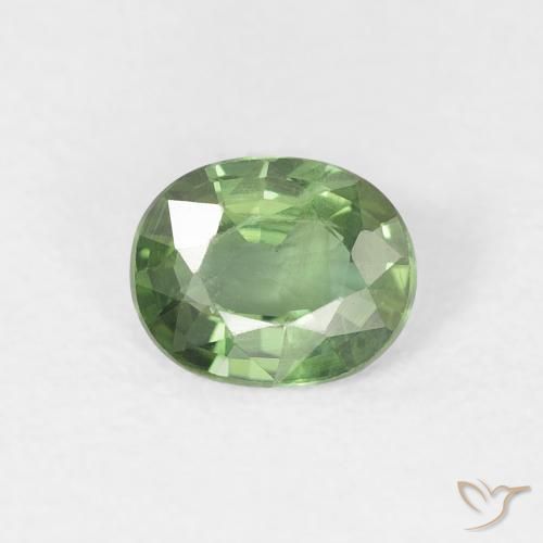 0.70ct Naturel Vert foncé Saphir, ovale, VS