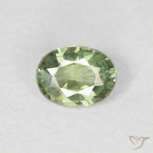 0.27ct Naturel Vert jaunâtre Saphir, ovale, VVS-VS
