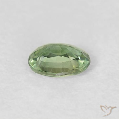 Saphir Vert jaunâtre naturelle ovale, 0.27 ct, VVS-VS
