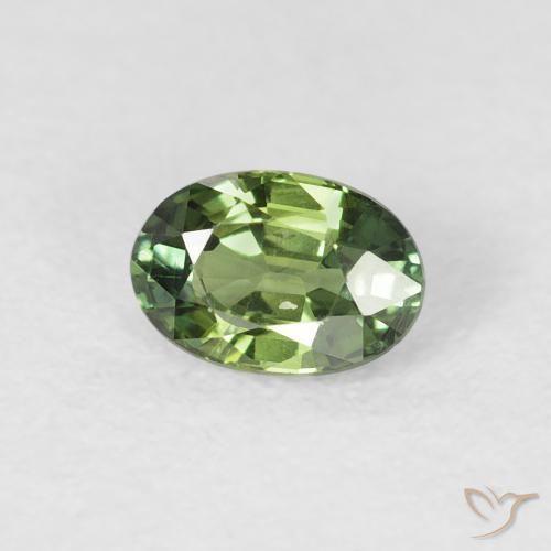 Saphir Medium Dark-Green naturelle ovale, 0.72 ct, VS