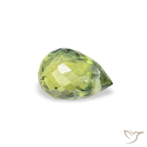 Saphir Olive verte naturelle Briolette, 0.59 ct, VS