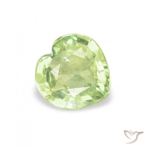 Saphir Vert jaune léger naturelle Cœur, 0.59 ct, VS