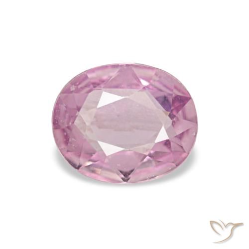 Saphir rose naturelle coupe ovale, 0,59 ct, VVS-VS