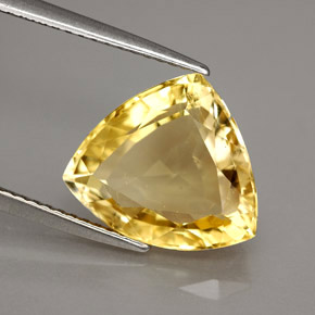 Scapolite jaune naturelle trillion, 4,85 ct, VVS-VS