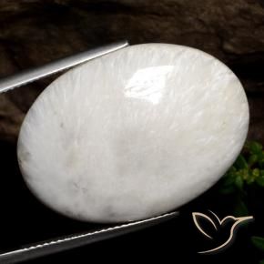Scolécite blanc naturelle coupe ovale, 22,71 ct, opaque