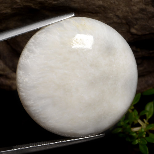Scolécite blanc naturelle coupe roude, 28,59 ct, opaque