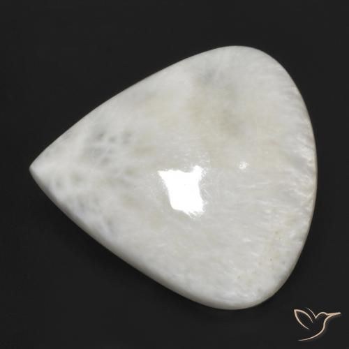 Scolécite Blanc cassé naturelle En forme de poire, 21.56 ct, Opaque