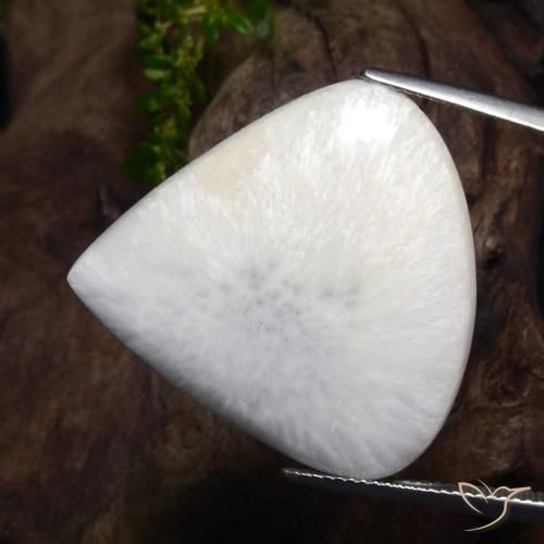 Scolécite Blanc cassé naturelle En forme de poire, 21.93 ct, Opaque
