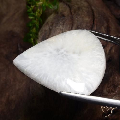 Scolécite Blanc cassé naturelle En forme de poire, 21.93 ct, Opaque