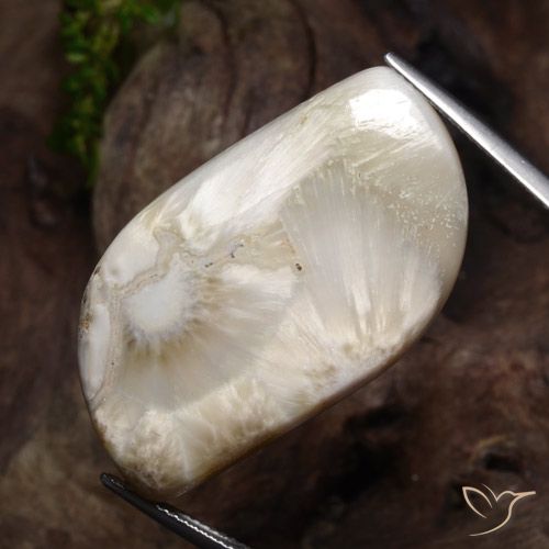 Scolécite blanc naturelle forme fantaisie, 34,11 ct, opaque