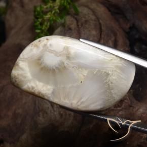 Scolécite blanc naturelle forme fantaisie, 34,11 ct, opaque