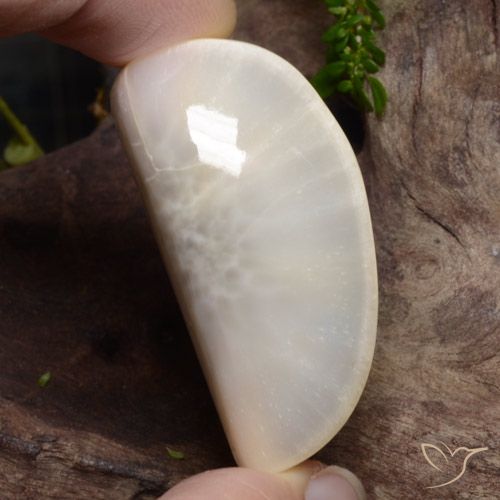 63.74ct Naturel Blanc Scolécite, Fantaisie, Opaque