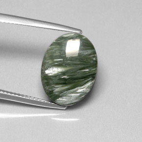 Séraphinite Vert naturelle Coupe ovale, 8.81 ct, Opaque