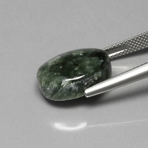 Séraphinite Vert naturelle Coupe ovale, 9.81 ct, Opaque