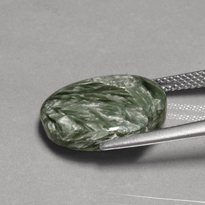 Séraphinite Vert naturelle Coupe ovale, 8.07 ct, Opaque
