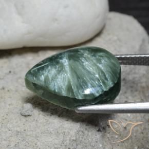 Séraphinite Medium Green    naturelle En forme de poire, 8.23 ct, Opaque