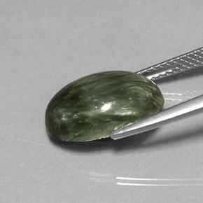 Séraphinite Vert naturelle Coupe ovale, 4.85 ct, Opaque