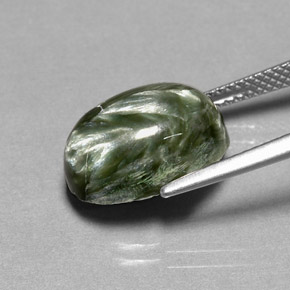 Séraphinite Vert naturelle Coupe ovale, 6.73 ct, Opaque