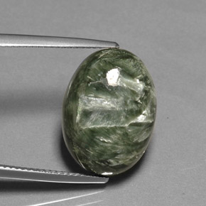 Séraphinite Vert naturelle Coupe ovale, 10.40 ct, Opaque
