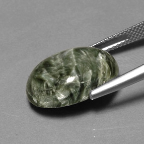 Séraphinite Vert naturelle Coupe ovale, 10.40 ct, Opaque