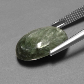 Séraphinite Vert naturelle Coupe ovale, 11.26 ct, Opaque