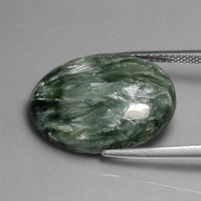Séraphinite Vert naturelle Coupe ovale, 11.38 ct, Opaque
