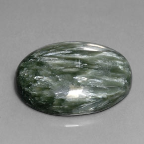 Séraphinite Vert naturelle Coupe ovale, 12.82 ct, Opaque