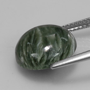 Séraphinite vert naturelle coupe roude, 4,98 ct, opaque