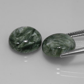 Achetez naturel ct Vert Séraphinite gems, Coupe roude, En provenance Russie chez GemSelect. En stock, livraison internationale!