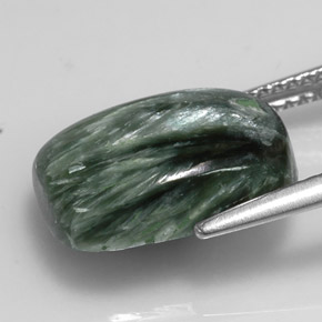 Séraphinite vert naturelle coupe coussin, 5,76 ct, opaque