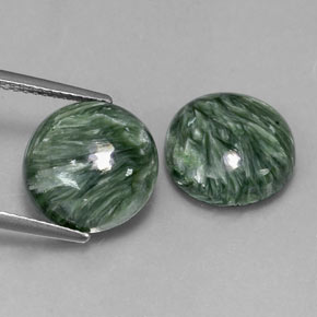 Achetez naturel ct Vert Séraphinite gems, Coupe roude, En provenance Russie chez GemSelect. En stock, livraison internationale!